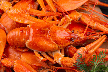Food, menu, food, meat, fish, garnish, sauce, roll, grens, salad, sausage, potatoes, ketchup, greens, halibut, shrimp, drum, ribs, onions
