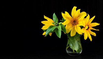 Fresh spring sunflower flowers in a glass vase on a dark wooden table and rustic background. Close-up, spring flowers, copy space for text.