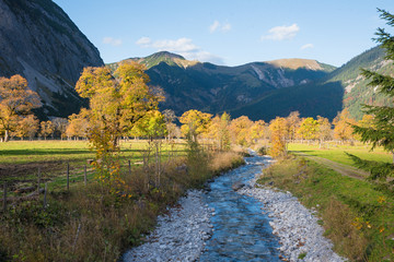 autumnal landscape karwendel valley with little creek and golden maple trees, Ahornboden austria