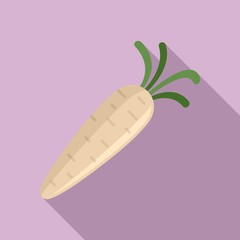 Botanical parsnip icon. Flat illustration of botanical parsnip vector icon for web design