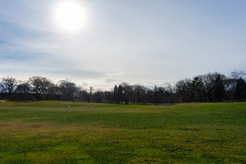 Empty Grass Field with a Bright Sun at Central Park in New York City during Spring