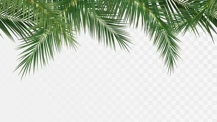 Fototapeten Palm branches seamless pattern, edge with tropical plants © lidiia