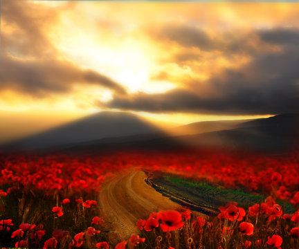 Dirt road among poppy fields at sunset. Fantasy picture. Blurred focus.