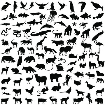 Collection silhouettes of animals. Animals silhouette set. Vector illustration.