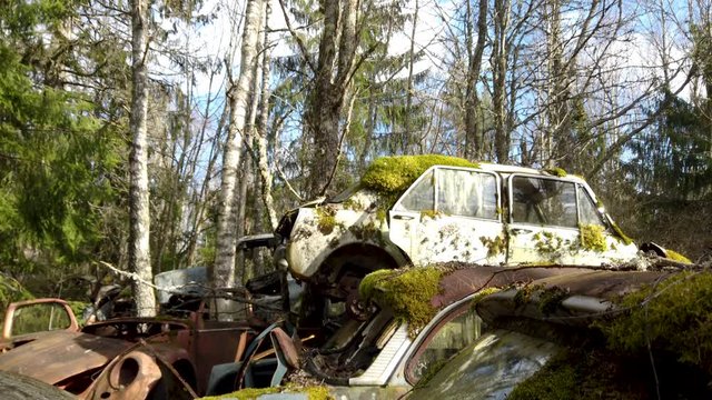 Abandoned cars in forest, Bratas Car cemetery, Sweden, Tilt