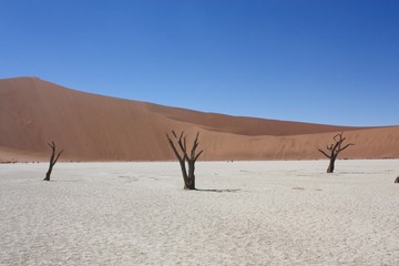Deadvlei Désert du Namib Namibie