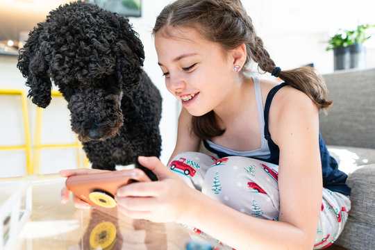 Closeup of a dog looking at phone with young girl