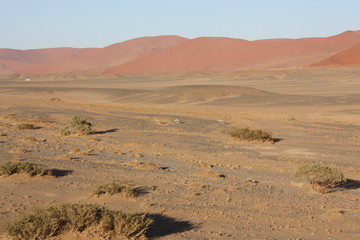 Fototapeta na wymiar Vol en Montgolfière Désert du Namib Sossusvlei Namibie