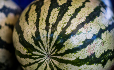 Watermelon in fruit market. Watermelon is a plant species in the family Cucurbitaceae, a vine-like...