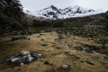 Photo sur Plexiglas Alpamayo environs du camp de base de la montagne alpamayo dans la quebrada santa cruz au pérou, avec des montagnes enneigées en arrière-plan