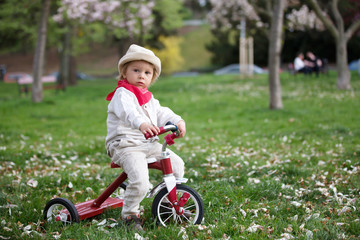 Child, boy in spring park with blooming magnolia trees
