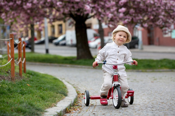 Child, boy in spring park with blooming magnolia trees