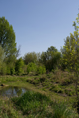 Hier ist ein St&uuml;ck im Wald zu sehen, mit verschiedenen Fokuspunkten.