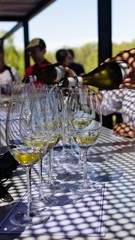 glasses on the table