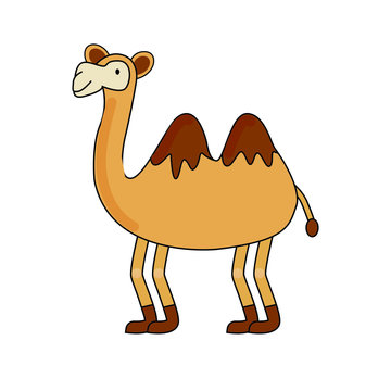 Camel icon in cartoon style isolated on white background illustration