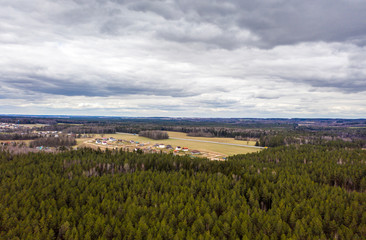 Fototapeta na wymiar Drone shot flying on spring pine tree forest.