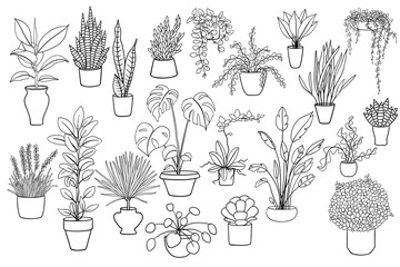 20 black and white illustrations of house plants