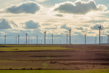 Parque E&oacute;lico