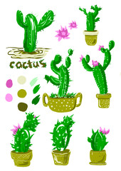 cactus in a pot. green cacti in pots in bloom. hand-drawn illustration
