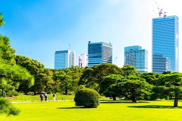 Fototapeta premium The Hamariky park in central Tokyo surrounded by skyskrapers. Tokyo, Japan
