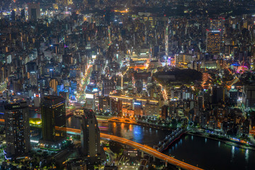 Tokyo night city from above. Panorama.