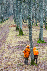 Hunter man with shotgun dressed in orange camouflage clothing in the autumn forest