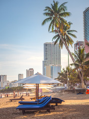 Fototapeta premium miami beach with palm trees