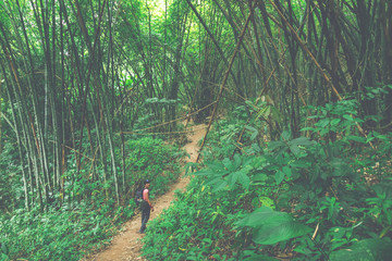 Woman looking back her team between trekking in the Thai forest.