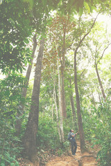 A man looking and touching a high tree between trekking in The forest.