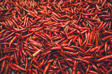 Spicy chili-Bright red dried chillies