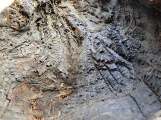 old wood texture