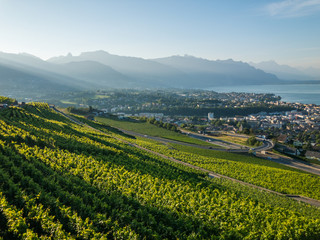 Fototapeta na wymiar Top view to vineyards near Vevey at Geneva lake