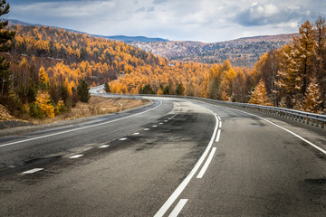 Fototapeta premium asphalt road in the autumn forest
