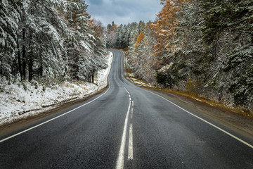 asphalt road in the autumn forest