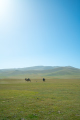 Horse riders playing a game of Kok Buro, a traditional game also known as dead goat polo, on Song Kul plateau in central Kyrgyzstan