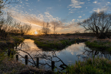 Sunset over the peat bog