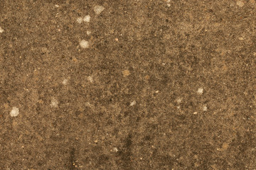 Background: brown cement wall with moss stains