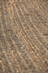 Closeup of crop field just plowed.