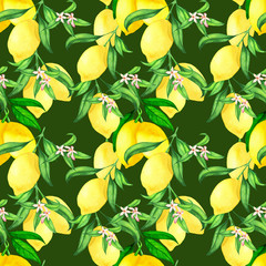 Seamless pattern with lemon branches