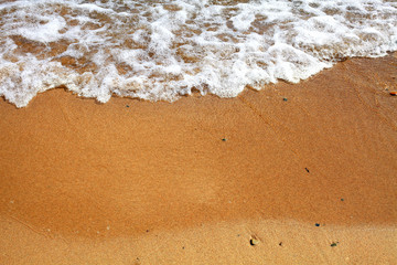 sandy summer beach
