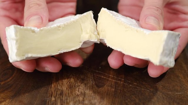 breaking soft cheese camembert or brie in the hands. white mold cheeses with soft textures