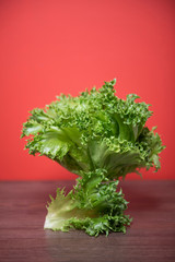 Green leaf lettuce on a wood and red background