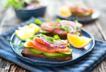 Sandwiches with red fish and vegetables on a blue plate.