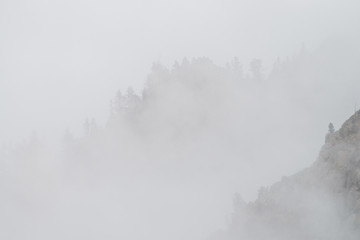 Ghostly view through dense fog to beautiful rockies. Low clouds among giant rocky mountains with trees on top. Alpine atmospheric landscape to big cliff in cloudy sky. Minimalist highland scenery.