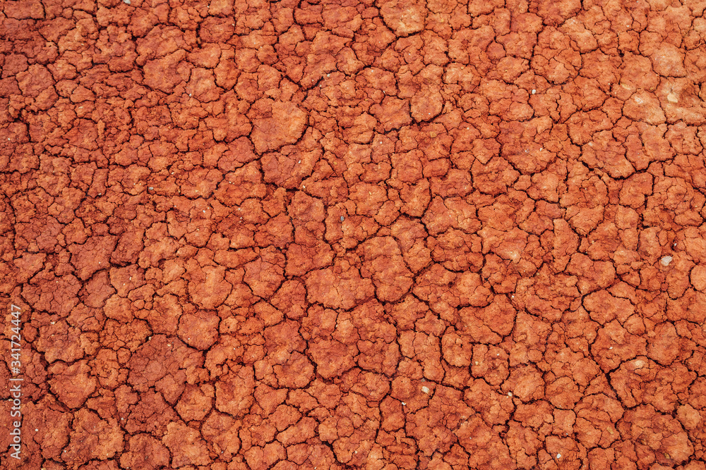 Wall mural Nature background of cracked dry lands. Natural texture of soil with cracks. Broken clay surface of barren dryland wasteland close-up. Full frame to terrain with arid climate. Lifeless desert on earth