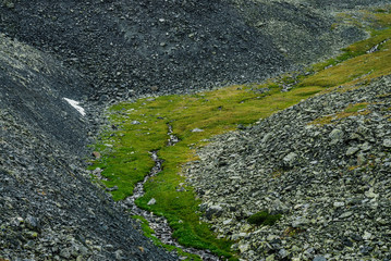 Beautiful green valley with water stream between stony rocky slopes in highlands. Spring water of mountains. Mosses and grasses in valley with mountain creek. Colorful alpine scenery. Scenic landscape