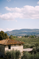 Fototapeta na wymiar View on the olive grove and an old building from the Medici Villa of Lilliano Wine Estate, Italy