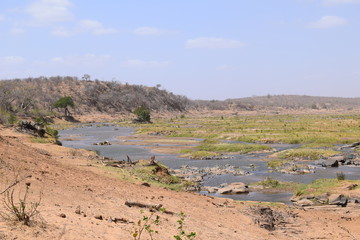 Beautiful view and animals in Kruger National Park Southafrica