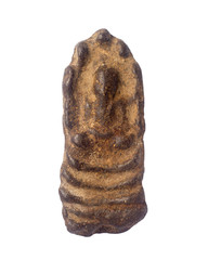 Thai Amulet isolate on a white background.