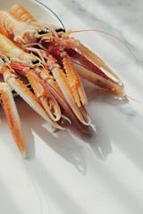 Luxury fresh raw langoustines. Close up on a white plate with copy space.